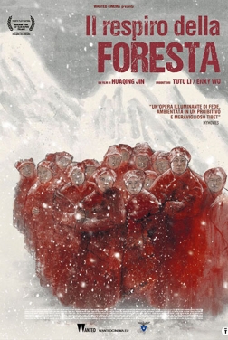 Il Respiro della Foresta (2021)