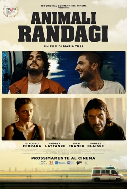 Animali Randagi (2024)